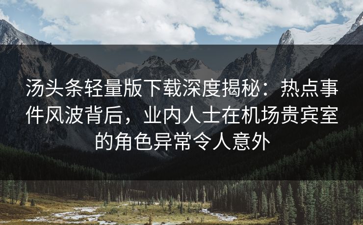 汤头条轻量版下载深度揭秘：热点事件风波背后，业内人士在机场贵宾室的角色异常令人意外