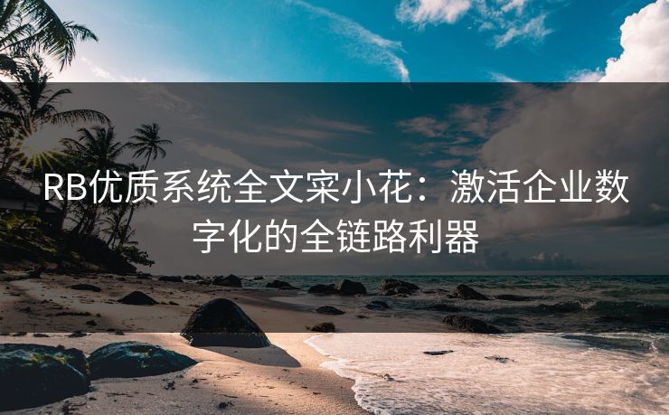 RB优质系统全文寀小花：激活企业数字化的全链路利器
