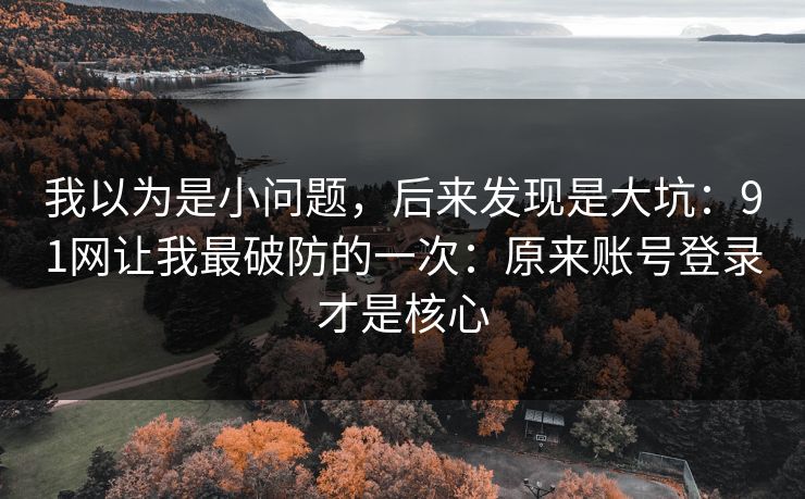 我以为是小问题，后来发现是大坑：91网让我最破防的一次：原来账号登录才是核心