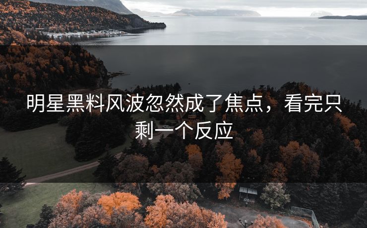 明星黑料风波忽然成了焦点，看完只剩一个反应